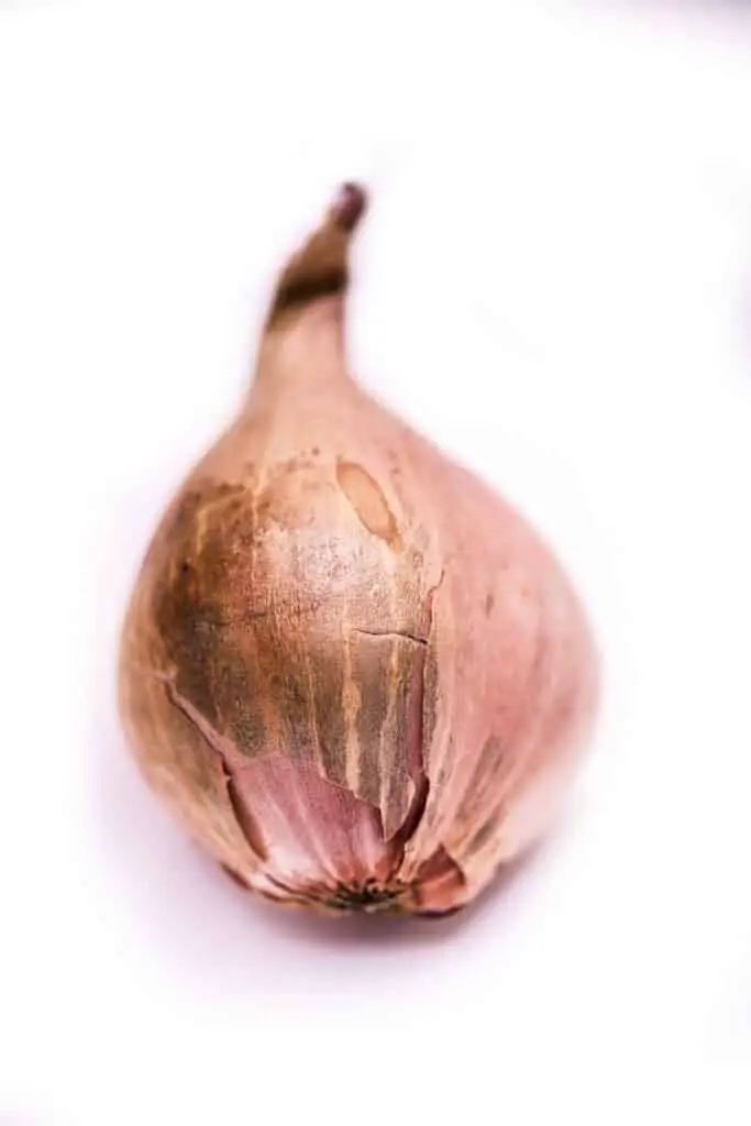 An image demonstrating what is a shallot