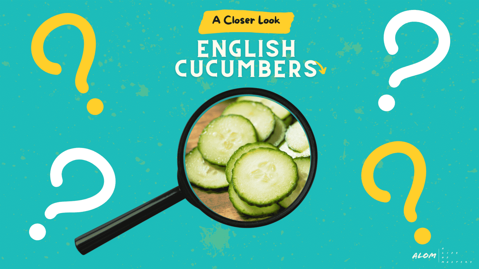 english-cucumber-thin-skinned-and-practically-seedless