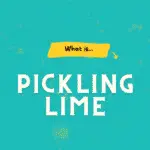 Pickling lime graphical title