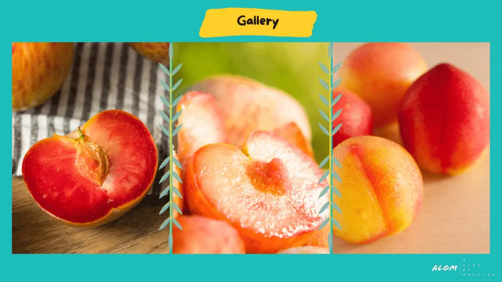 A gallery of pictures to answer what is a pluot fruit